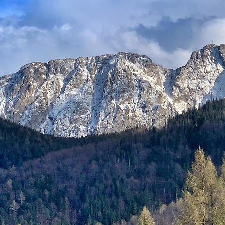 Apartament Rysy Apartamentyzakopianskie Basen Sauna Jacuzzi Zakopane Eksteriør bilde