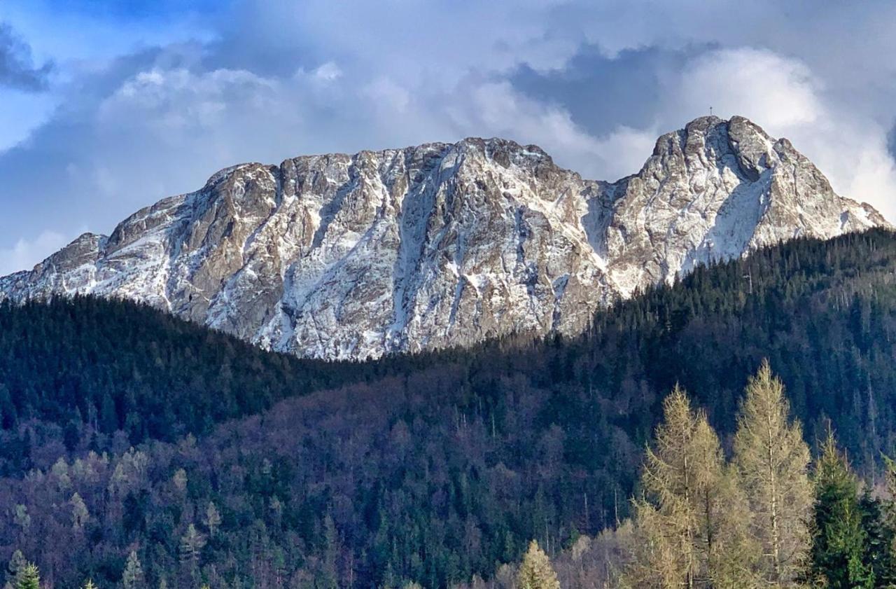 Apartament Rysy Apartamentyzakopianskie Basen Sauna Jacuzzi Zakopane Eksteriør bilde
